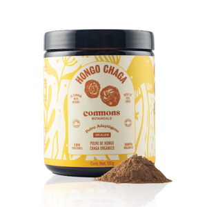 Chaga